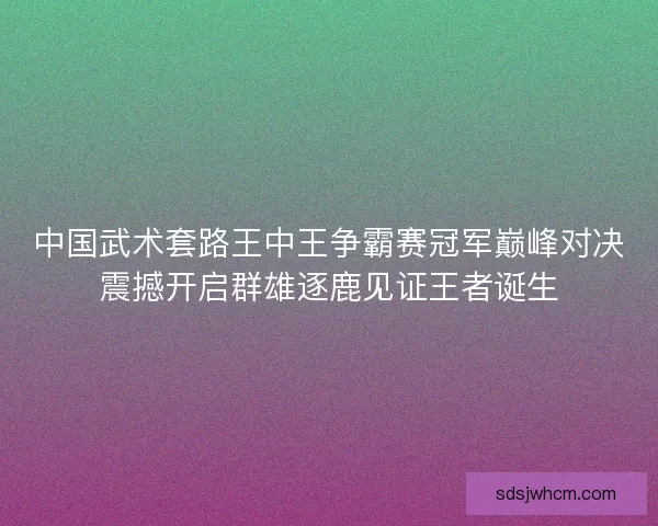 中国武术套路王中王争霸赛冠军巅峰对决震撼开启群雄逐鹿见证王者诞生