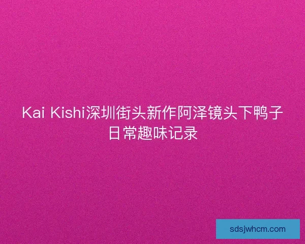 Kai Kishi深圳街头新作阿泽镜头下鸭子日常趣味记录